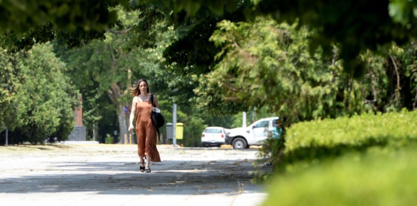 1640888872877.jpeg?x=12&y=104&width=1250&height=625&rotate=0&scaleX=1&scaleY=1&ow=1280&oh=939&&cw=1920&ch=950