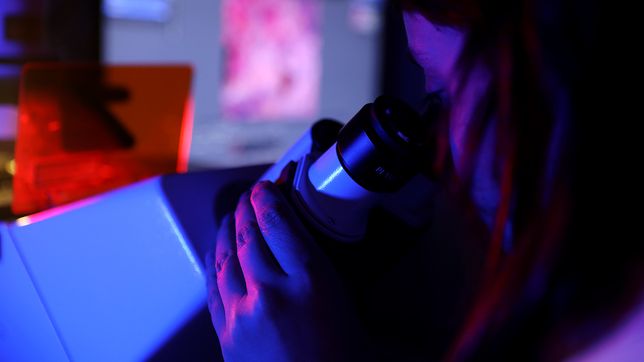 investigadores de la unlp desarrollaron un metodo para detectar tumores con particulas de oro
