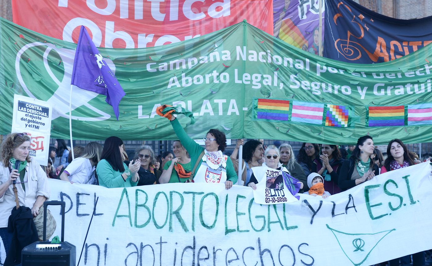 Aborto legal: diputados de La Libertad Avanza presentaron un proyecto para  derogar la Ley IVE