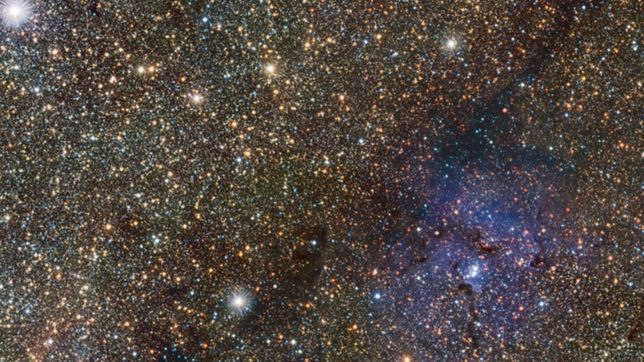 revelador estudio de un cientifico de la plata sobre el universo y las enanas blancas