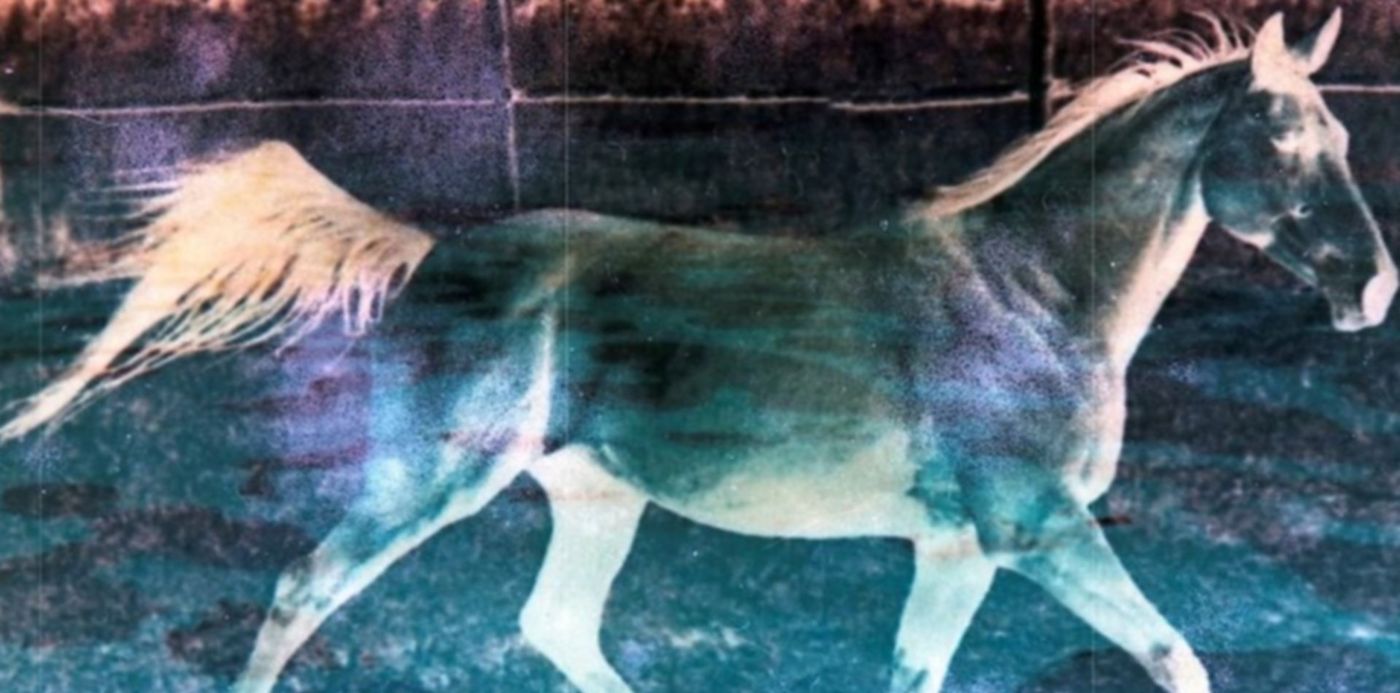 1629829580102.jpg?x=11&y=42&width=938&height=469&rotate=0&scaleX=1&scaleY=1&ow=960&oh=639&&cw=1920&ch=950