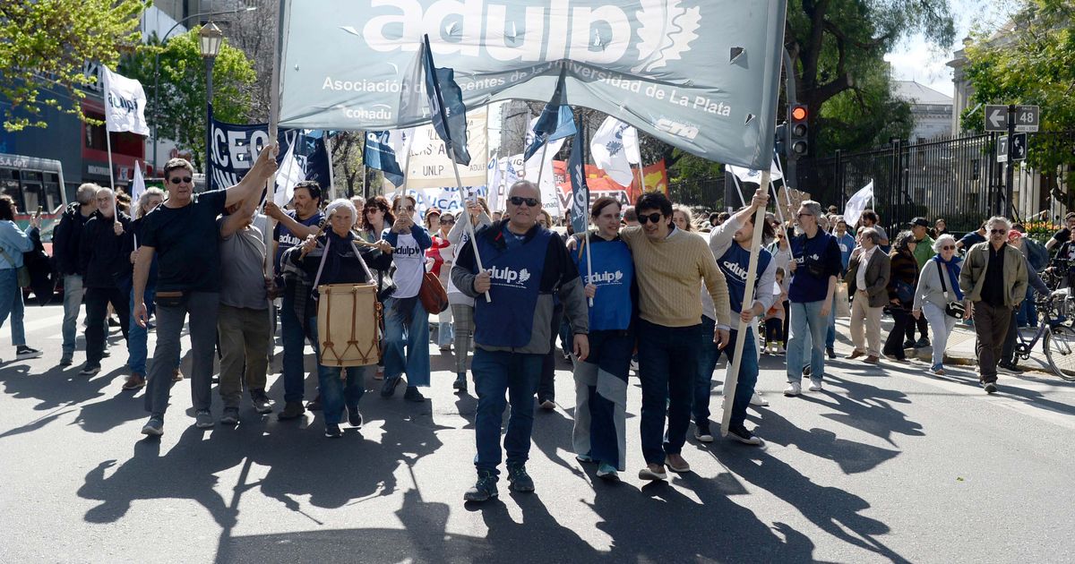 Los docentes de la UNLP anuncian un paro y movilización en reclamo de ...