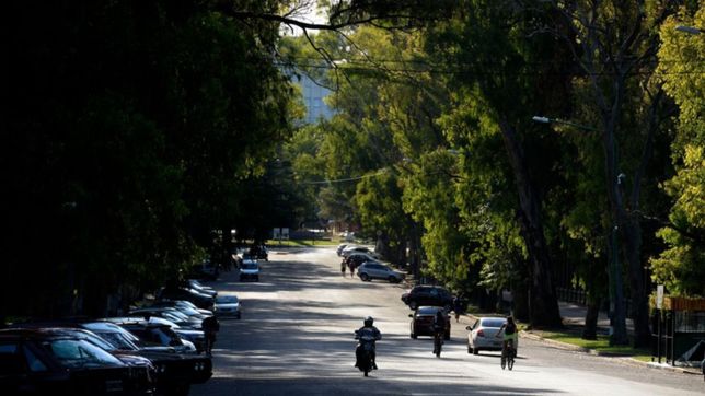con 150 ejemplares, arranco la campana para plantar 10.000 arboles en la plata