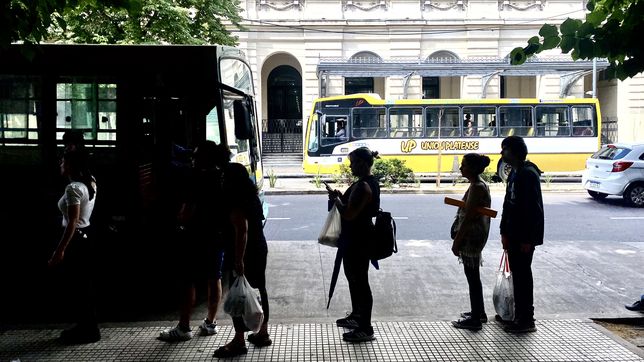 0221.com.ar | Micros Colectivos (3).jpg