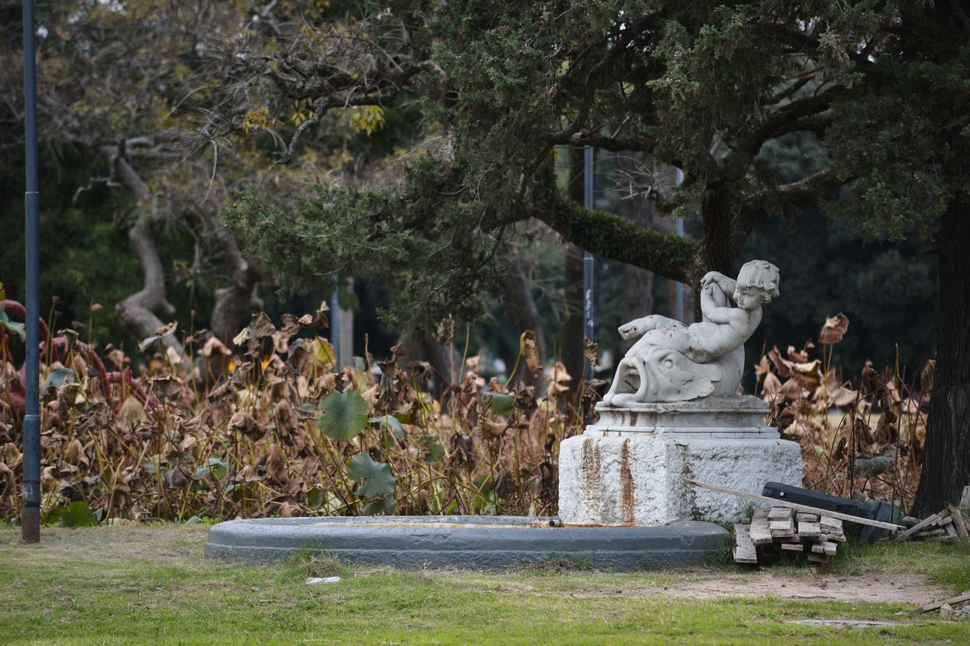 Obras en Parque Saavedra (7)