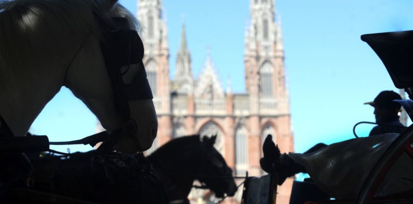 1541169447275.jpg?y=131&width=1486&height=743&rotate=0&scaleY=1&ow=1500&oh=943&x=9&scaleX=1&&cw=1920&ch=950