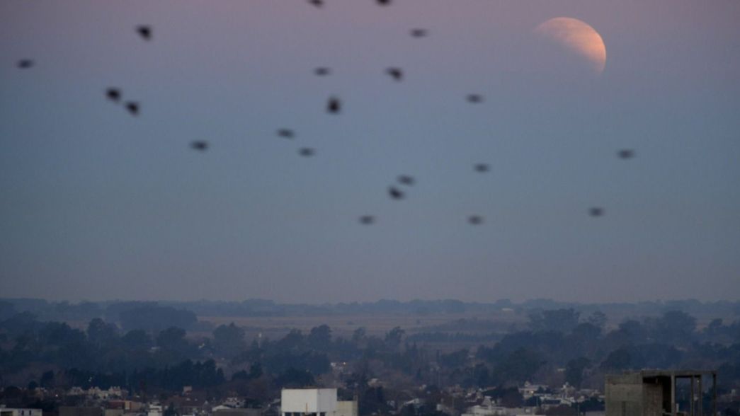 VIDEO: El timelapse que muestra el eclipse lunar casi total desde el cielo de La Plata
