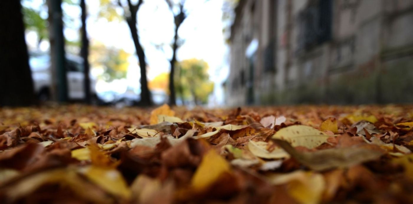 1587694282601.jpg?x=11&y=0&width=1478&height=739&rotate=0&scaleX=1&scaleY=1&ow=1500&oh=996&&cw=1920&ch=950