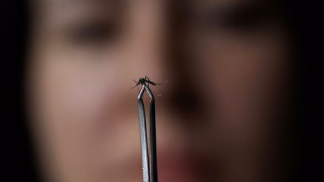 Confirman más de 120.000 casos de dengue y 79 muertes en los últimos ocho meses