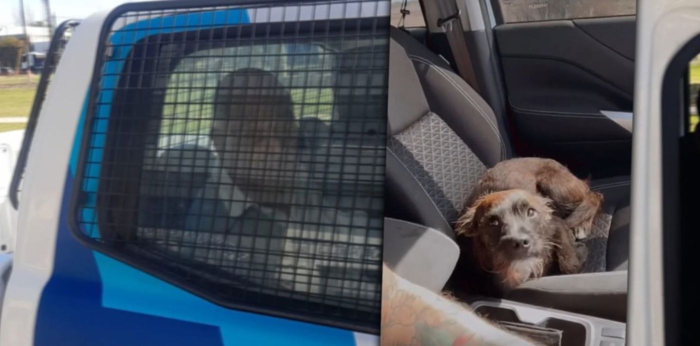 1662573953144.jpg?x=8&y=0&width=1484&height=742&rotate=0&scaleX=1&scaleY=1&ow=1500&oh=742&&cw=1920&ch=950