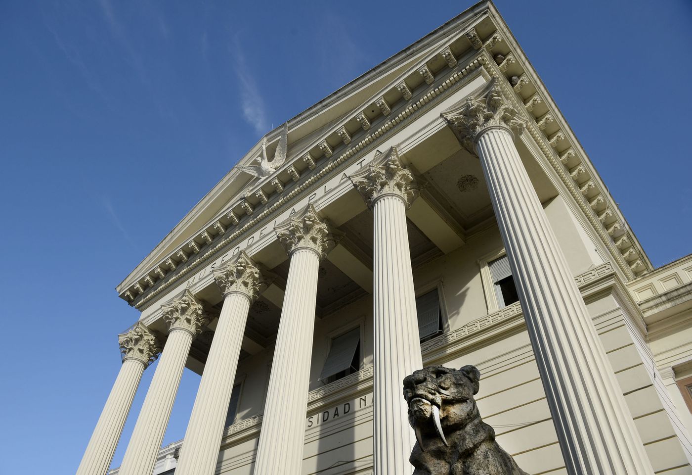 Museo de Ciencias Naturales (24).jpg