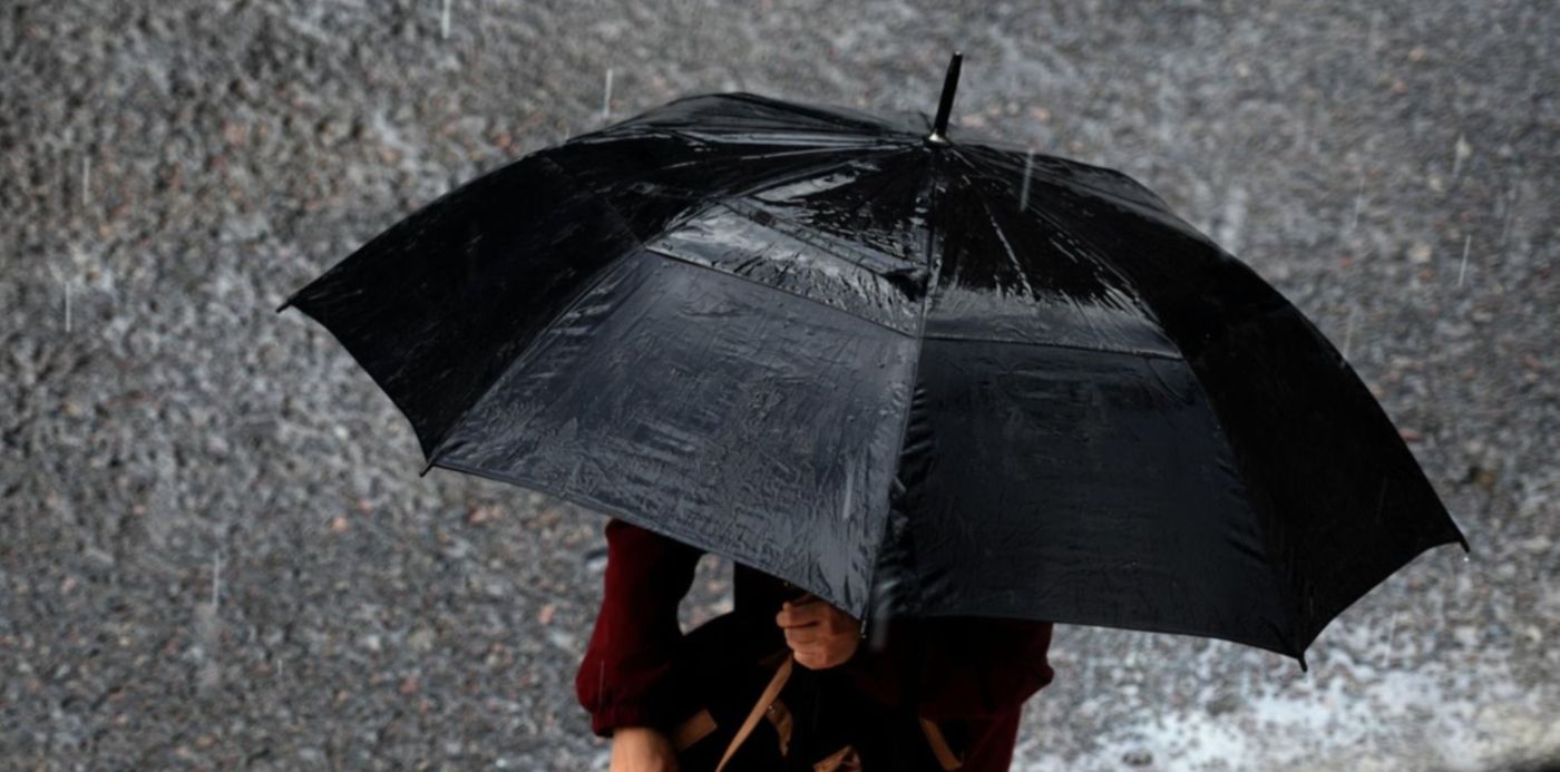 1692205224634.jpg?x= 32&y=101&width=1564&height=782&rotate=0&scaleX=1&scaleY=1&ow=1500&oh=1029&&cw=1920&ch=950