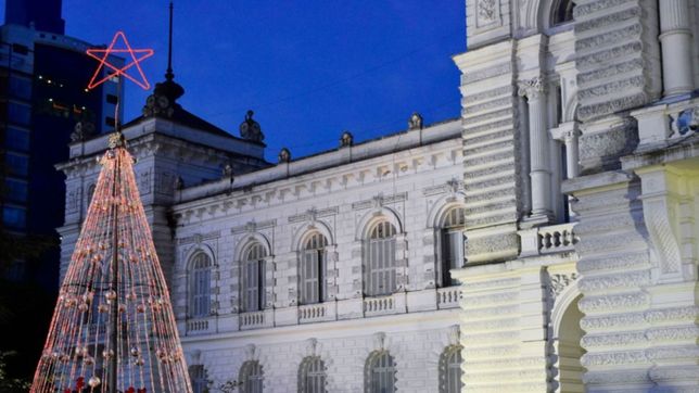 arboles, luces y adornos: los preparativos de la plata para celebrar una nueva navidad