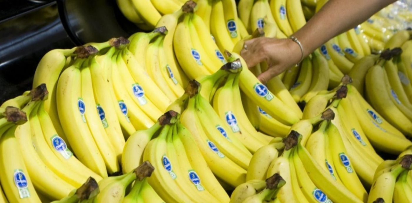 1573240250637.jpg?scaleX=1&ow=1280&x=8&width=1269&height=634&rotate=0&scaleY=1&oh=720&y=82&&cw=1920&ch=950