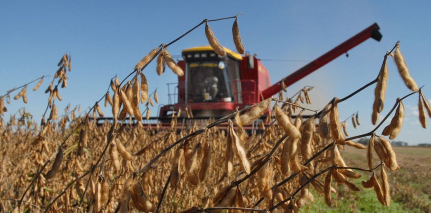 1661985144157.jpg?x=12&y=73&width=1489&height=744&rotate=0&scaleX=1&scaleY=1&ow=1499&oh=1035&&cw=1920&ch=950