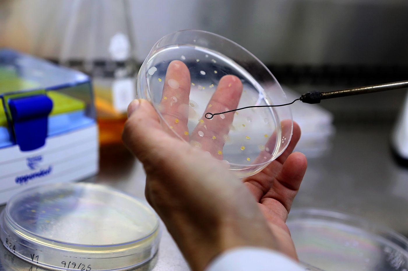 Ciencia Científicos (5)