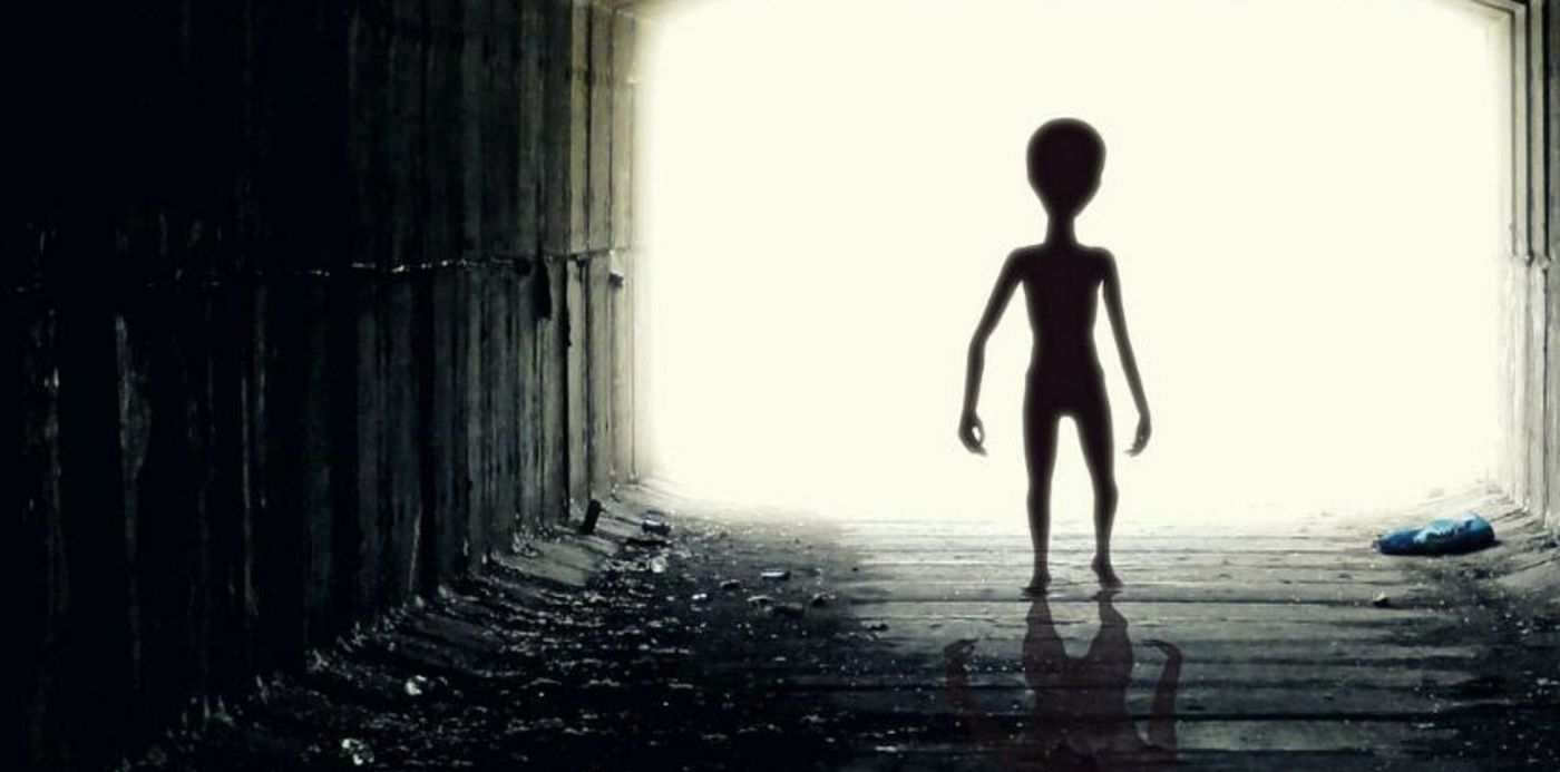 1548349197864.jpg?scaleX=1&scaleY=1&ow=839&x=4&y=55&width=834&rotate=0&height=417&oh=472&&cw=1920&ch=950