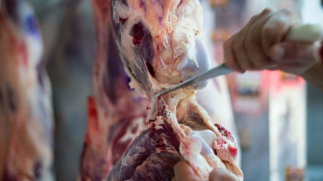 la provincia confirmo que ya investiga cuatro casos de intoxicacion alimentaria con carne