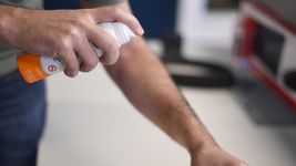 la anmat prohibio el uso de un repelente en medio de la invasion de mosquitos la anmat prohibio el uso de un repelente en medio de la invasion de mosquitos