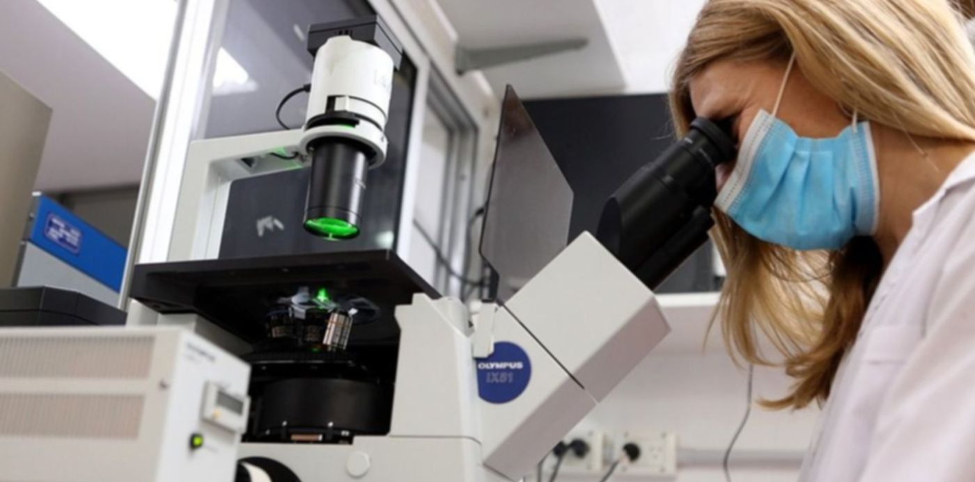 Cientificos UNLP descubren como intensificar la producción de porotos negros