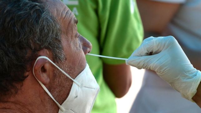 contagios y fallecidos: asi sigue la curva del covid-19 en argentina