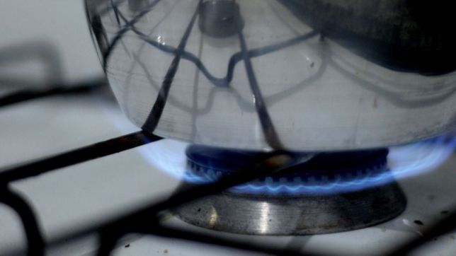 planean reducir entre el 30 y el 50% de las tarifas del gas pero no alcanzaria a la plata