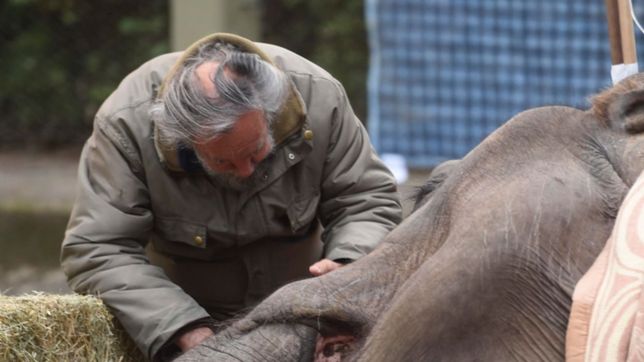 para la justicia, el cuadro de pelusa era irreversible y ?estaba sufriendo?