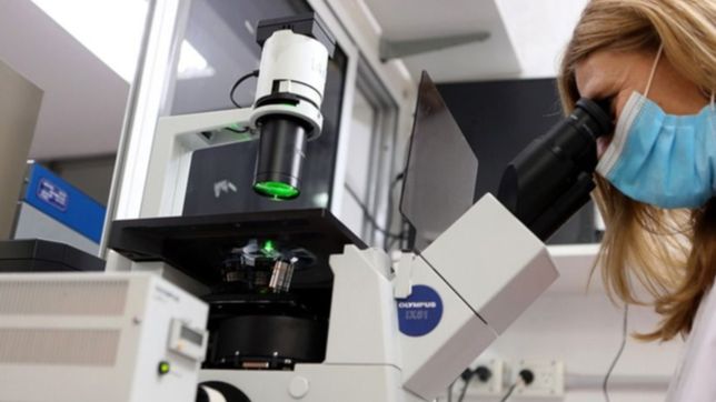 cientificos de la unlp descubren como mejorar la produccion de una legumbre de exportacion