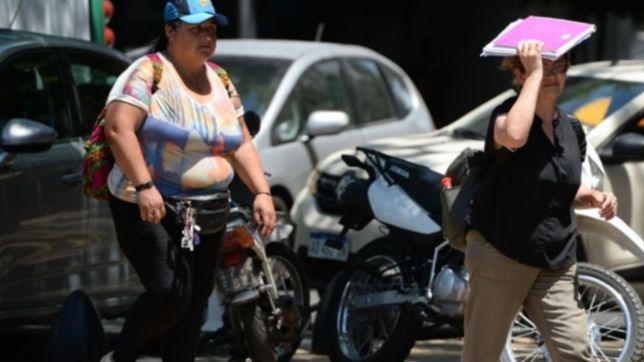 martes de sol y mucho calor en la plata: asi va a seguir el clima esta semana