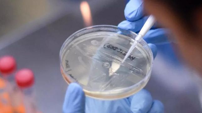 los contagios siguen cayendo pero los casos de la cepa delta se triplicaron el ultimo mes