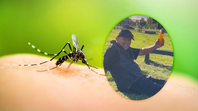 expertos de la unlp opinaron sobre el repelente casero creado en la plata que fue viral