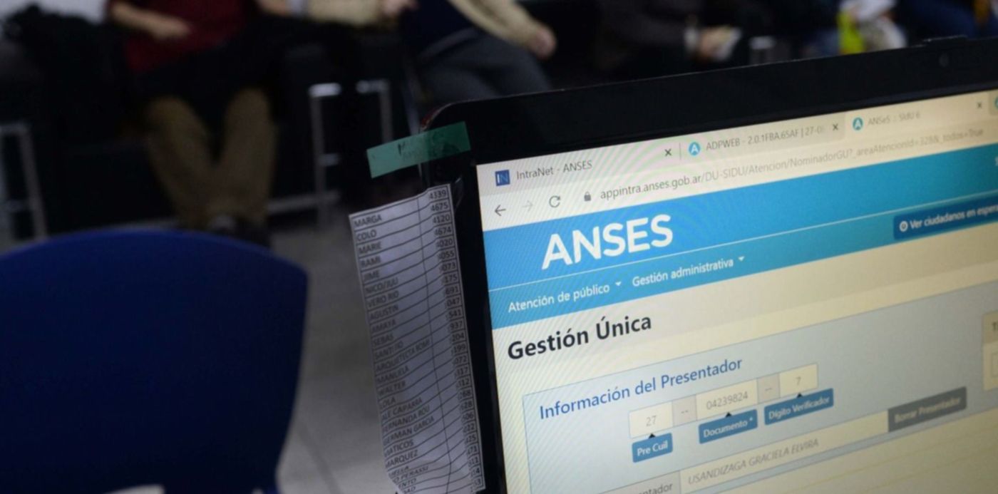 ANSES trámite por segmentación energética 45 entre 8 y 9