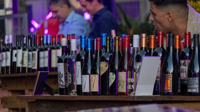uvaslab sunset experience llega a la plata con bodegas, djs y gastronomia en una estancia historica