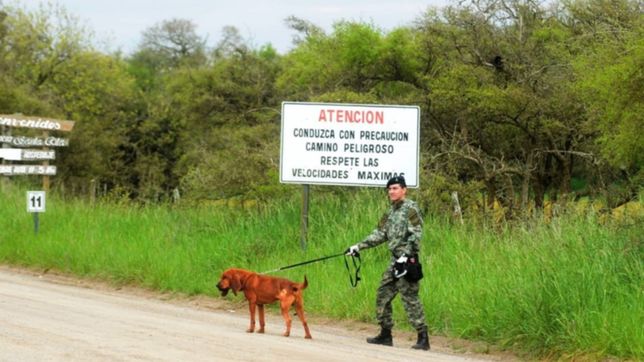 continua la busqueda por abril caballe, la pequena de 10 anos desaparecida en punta indio