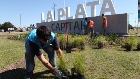 Con un nuevo proyecto paisajístico, renuevan la forestación la emblemática avenida 44 Con un nuevo proyecto paisajístico, renuevan la forestación la emblemática avenida 44