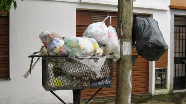 decretaron la emergencia sanitaria por la acumulacion de basura en las calles de berisso