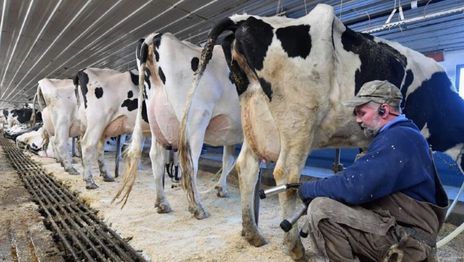 Oficializan ayuda para los productores tamberos afectados por la sequía
