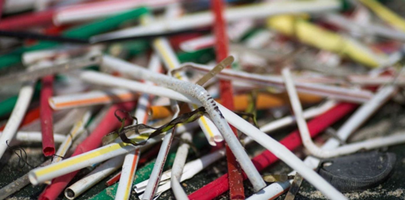 1558448846570.jpg?y=0&ow=1500&oh=843&x=4&width=1487&height=743&rotate=0&scaleX=1&scaleY=1&&cw=1920&ch=950