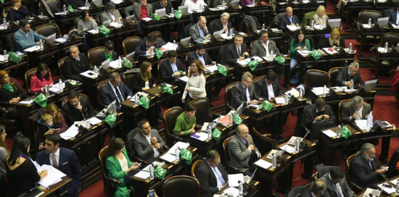 ¿Cómo votarán los diputados platenses sobre el aborto legal?