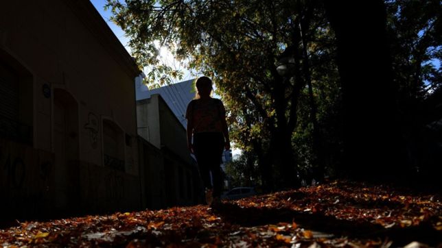 clima en la plata: domingo bien otonal, con algunas nubes y buen tiempo en la ciudad