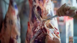 un hombre vestido de policia robo en una carniceria ubicada frente a la carcel de mujeres de los hornos y huyo un hombre vestido de policia robo en una carniceria ubicada frente a la carcel de mujeres de los hornos y huyo