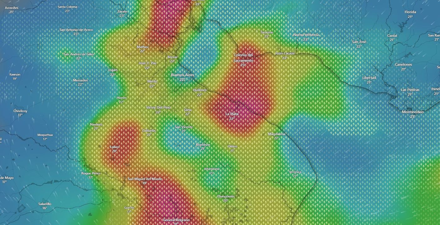 WhatsApp Image 2024-10-22 at 11.05.51.jpeg