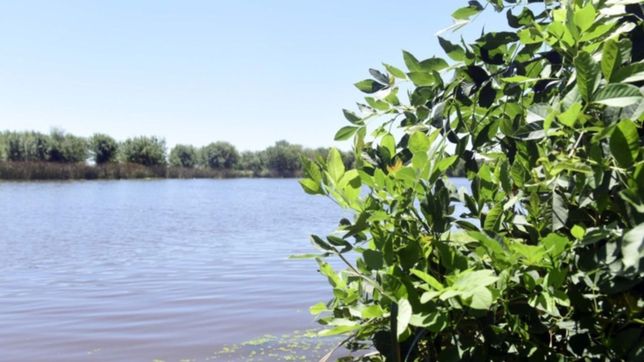 proponen crear un inventario municipal de los humedales ubicados en la plata