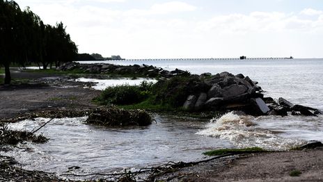 Encontraron a un hombre muerto en la costa del Río de la Plata con tres disparos e investigan qué le pasó Encontraron a un hombre muerto en la costa del Río de la Plata con tres disparos e investigan qué le pasó