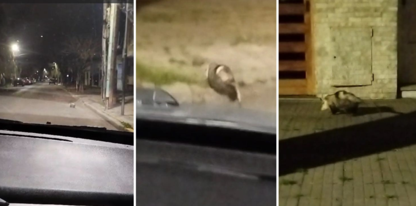 1694286007449.jpg?x=23&y=0&width=1467&height=733&rotate=0&scaleX=1&scaleY=1&ow=1500&oh=742&&cw=1920&ch=950