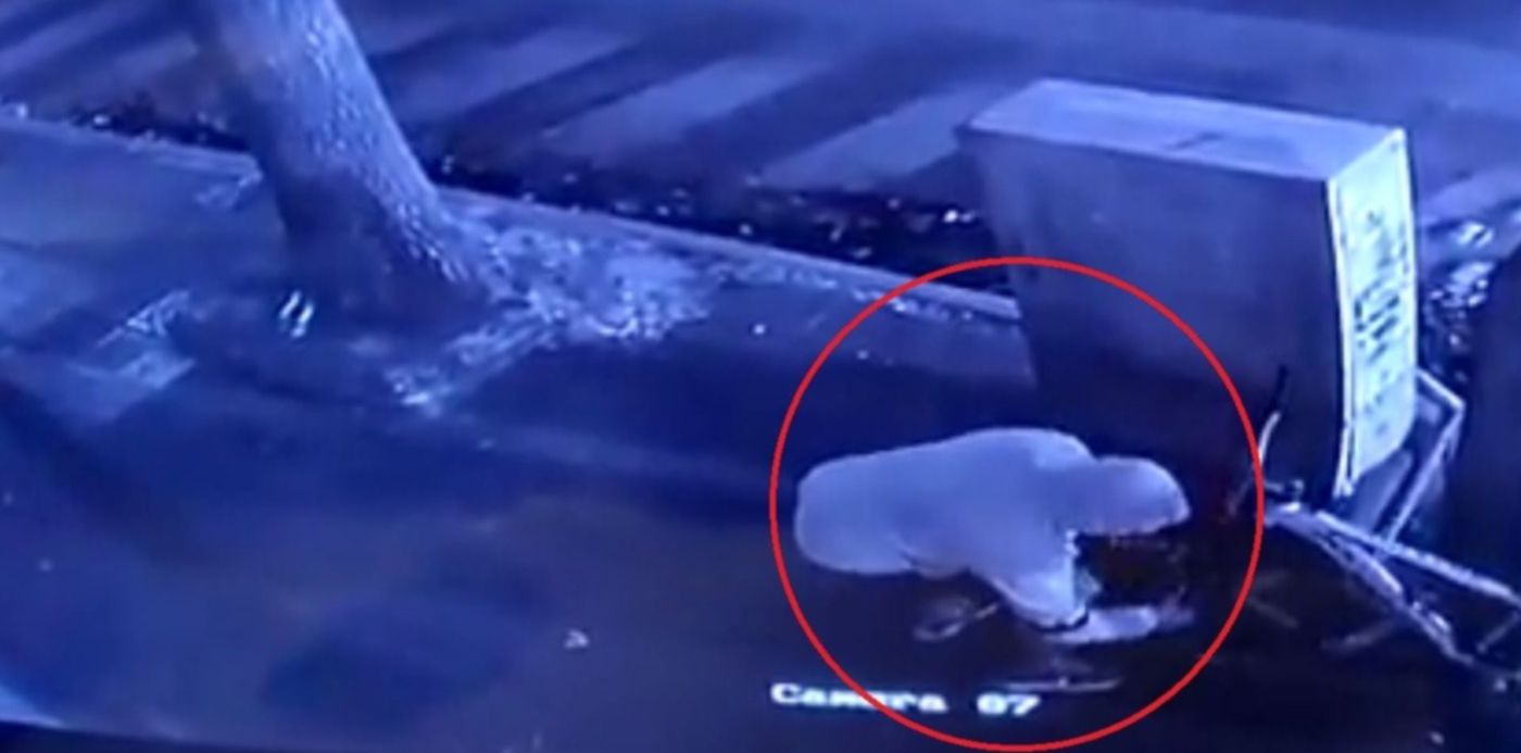 1615402133471.jpg?x=10&y=216&width=1235&height=617&rotate=0&scaleX=1&scaleY=1&ow=1249&oh=841&&cw=1920&ch=950