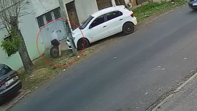 video: un perro sorprendio a un robarueda en la loma y casi frustra el ataque