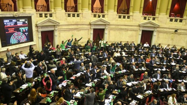 asi votaron los diputados platenses la media sancion por el aborto legal