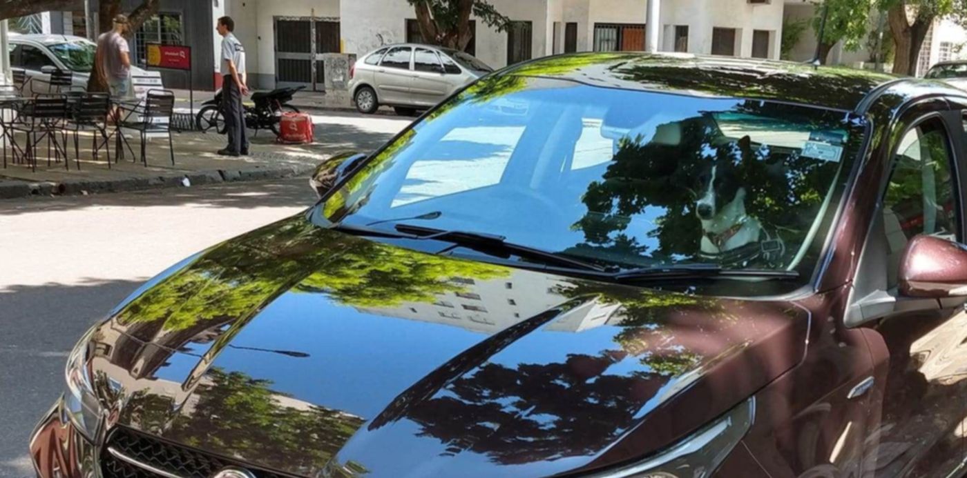 1548622022997.jpg?y=0&height=664&rotate=0&scaleY=1&ow=1440&oh=664&x=3&scaleX=1&width=1328&&cw=1920&ch=950