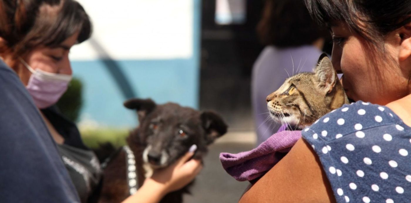 1662409565561.jpg?x=3&y=62&width=1494&height=747&rotate=0&scaleX=1&scaleY=1&ow=1500&oh=1000&&cw=1920&ch=950